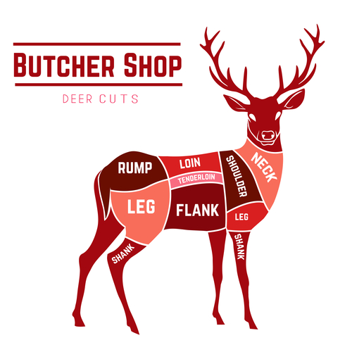 Deer meat cuts with elements and names in color. Butcher shop. Vector illustration.